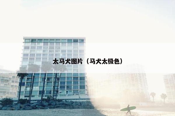 太马犬图片（马犬太极色）