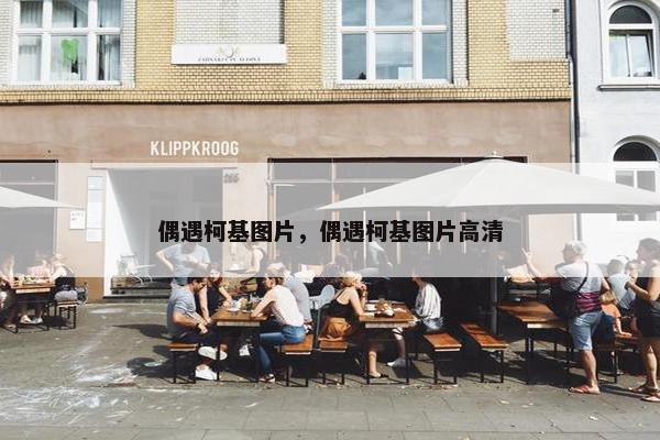偶遇柯基图片，偶遇柯基图片高清