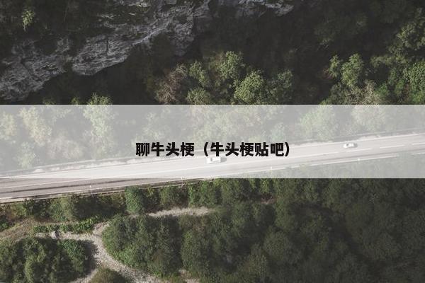 聊牛头梗（牛头梗贴吧）