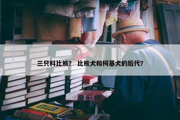 三只科比熊？ 比熊犬和柯基犬的后代？