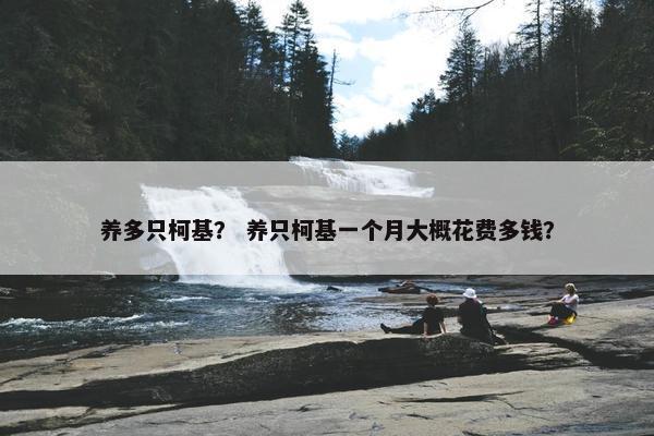 养多只柯基？ 养只柯基一个月大概花费多钱？