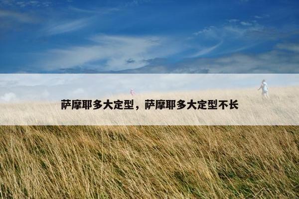萨摩耶多大定型，萨摩耶多大定型不长