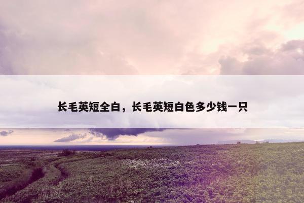 长毛英短全白，长毛英短白色多少钱一只