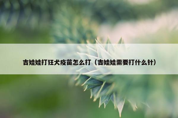 吉娃娃打狂犬疫苗怎么打（吉娃娃需要打什么针）