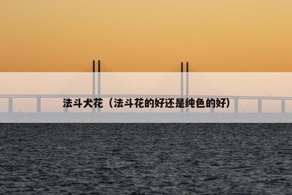 法斗犬花（法斗花的好还是纯色的好）