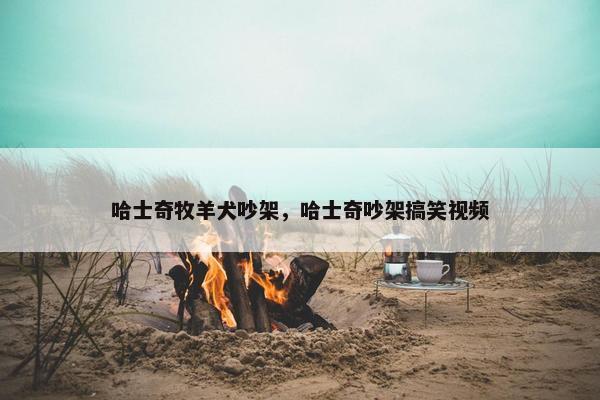 哈士奇牧羊犬吵架，哈士奇吵架搞笑视频