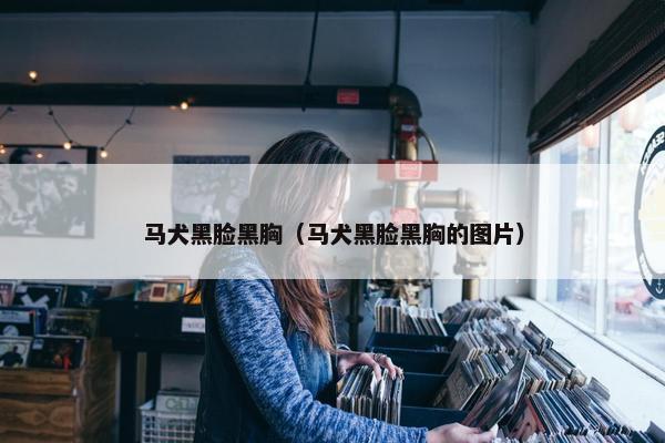 马犬黑脸黑胸（马犬黑脸黑胸的图片）
