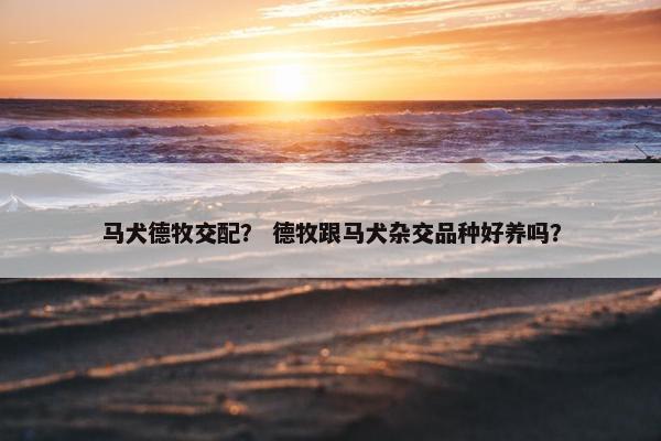 马犬德牧交配？ 德牧跟马犬杂交品种好养吗？