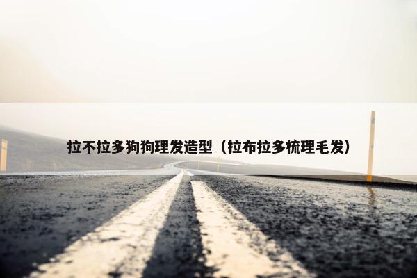 拉不拉多狗狗理发造型（拉布拉多梳理毛发）