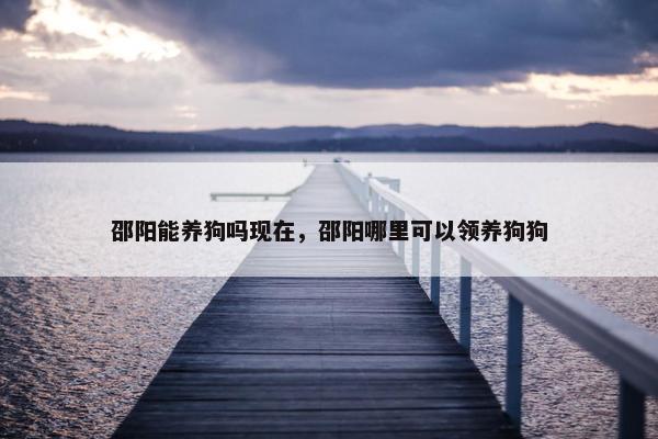 邵阳能养狗吗现在，邵阳哪里可以领养狗狗