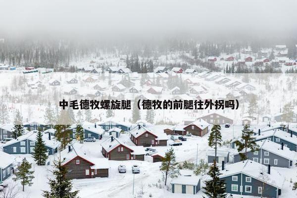 中毛德牧螺旋腿（德牧的前腿往外拐吗）