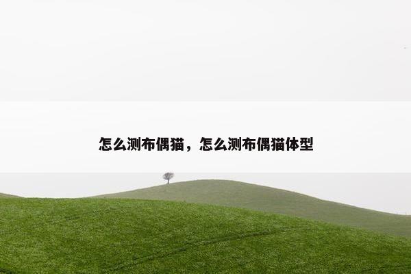 怎么测布偶猫，怎么测布偶猫体型