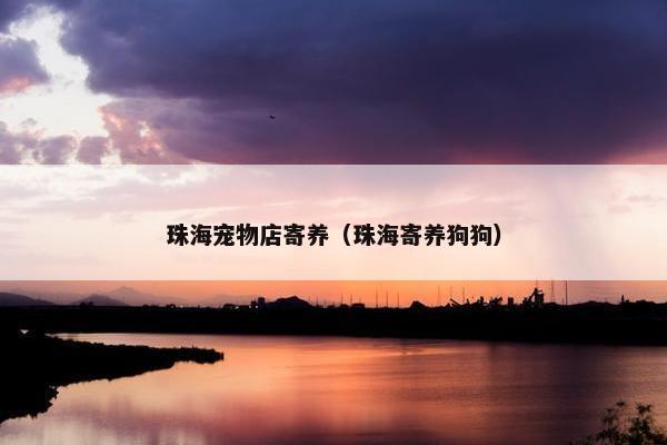 珠海宠物店寄养（珠海寄养狗狗）