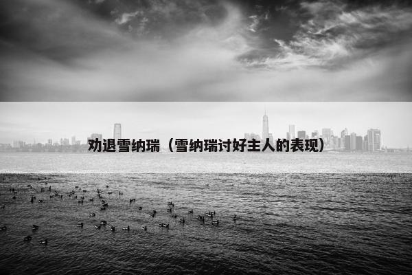 劝退雪纳瑞（雪纳瑞讨好主人的表现）