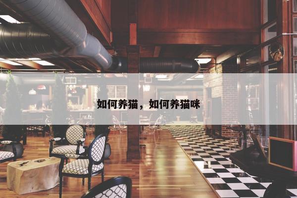 如何养猫，如何养猫咪