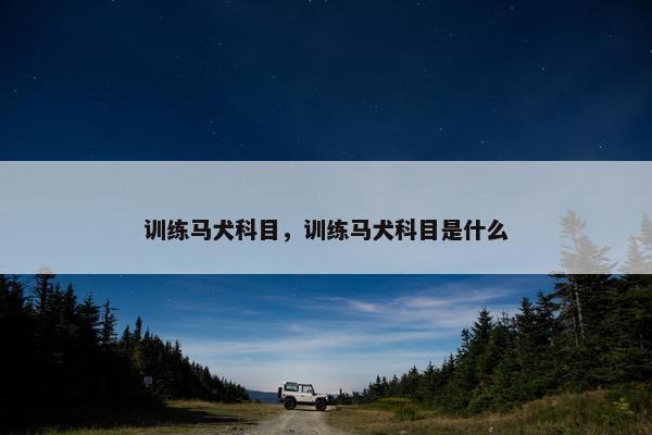 训练马犬科目，训练马犬科目是什么