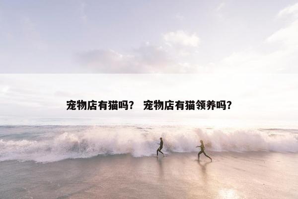 宠物店有猫吗？ 宠物店有猫领养吗？