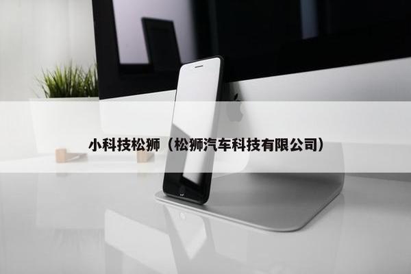 小科技松狮（松狮汽车科技有限公司）