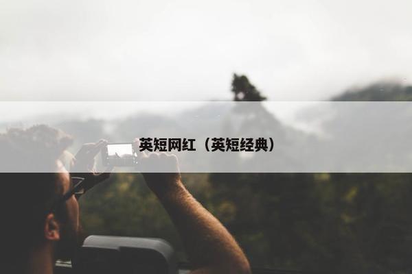 英短网红（英短经典）