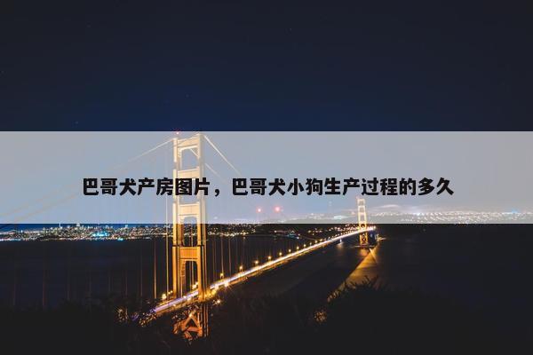 巴哥犬产房图片，巴哥犬小狗生产过程的多久