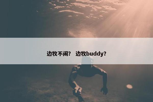 边牧不闹？ 边牧buddy？