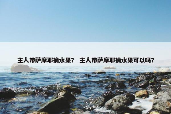 主人带萨摩耶摘水果？ 主人带萨摩耶摘水果可以吗？