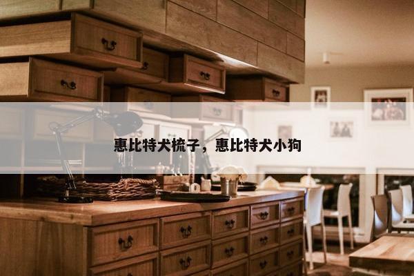 惠比特犬梳子，惠比特犬小狗