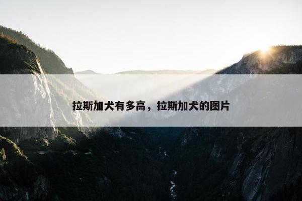 拉斯加犬有多高，拉斯加犬的图片