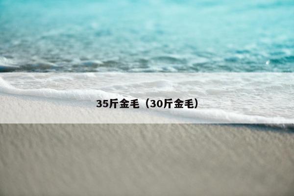 35斤金毛（30斤金毛）