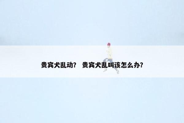 贵宾犬乱动？ 贵宾犬乱叫该怎么办？