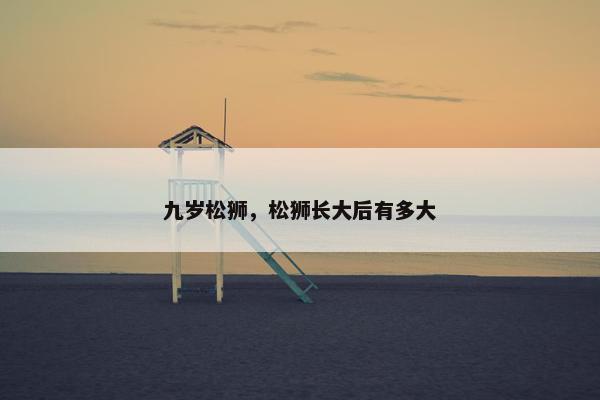 九岁松狮，松狮长大后有多大