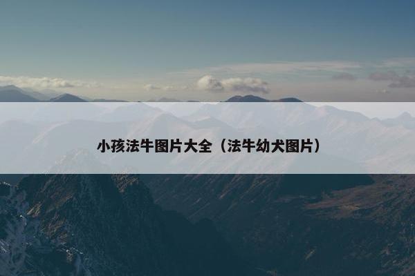 小孩法牛图片大全（法牛幼犬图片）