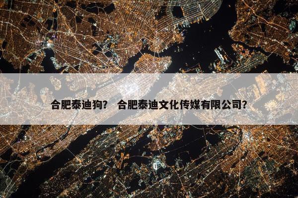 合肥泰迪狗？ 合肥泰迪文化传媒有限公司？