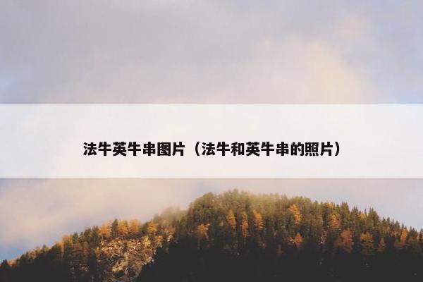 法牛英牛串图片（法牛和英牛串的照片）