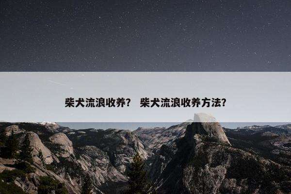 柴犬流浪收养？ 柴犬流浪收养方法？
