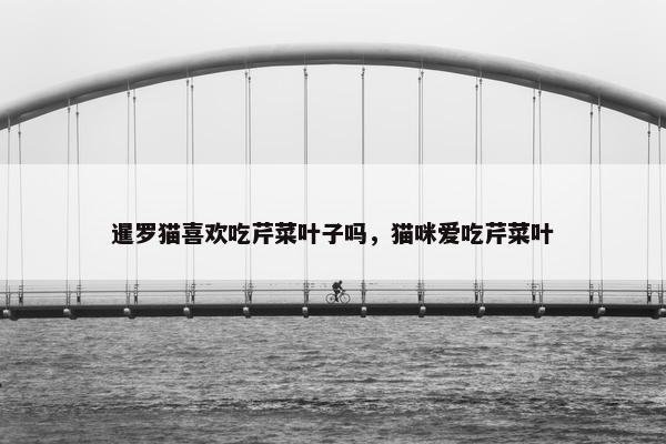 暹罗猫喜欢吃芹菜叶子吗，猫咪爱吃芹菜叶