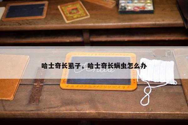 哈士奇长虱子，哈士奇长螨虫怎么办