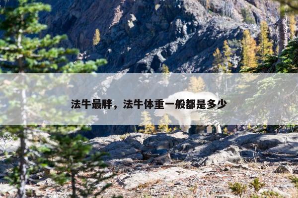 法牛最胖，法牛体重一般都是多少
