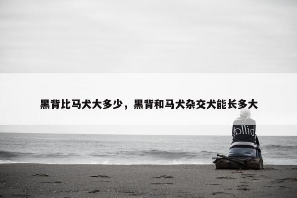 黑背比马犬大多少，黑背和马犬杂交犬能长多大