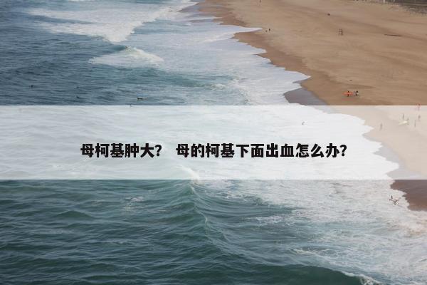 母柯基肿大？ 母的柯基下面出血怎么办？