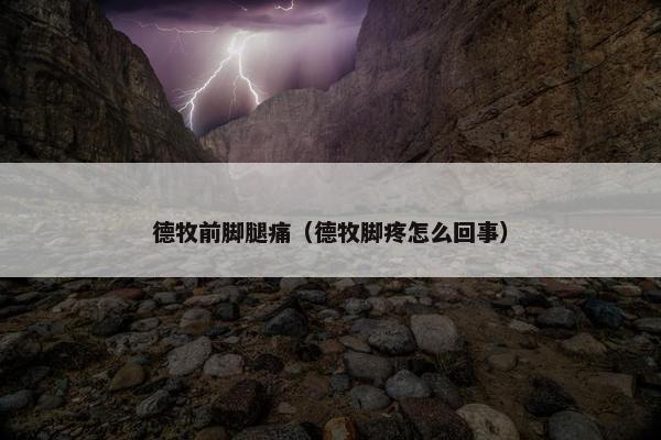 德牧前脚腿痛（德牧脚疼怎么回事）