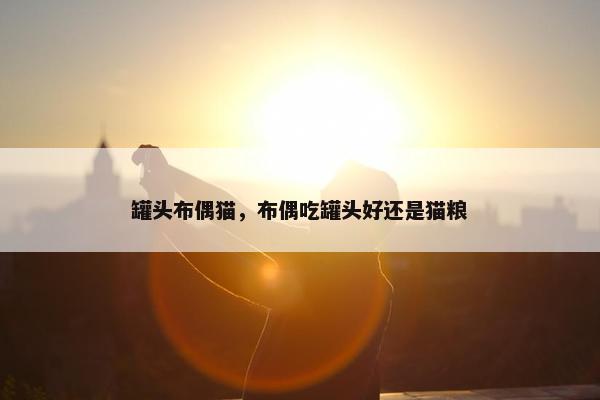 罐头布偶猫，布偶吃罐头好还是猫粮