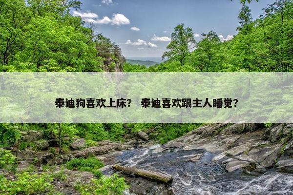 泰迪狗喜欢上床？ 泰迪喜欢跟主人睡觉？