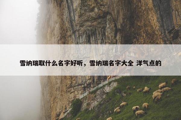 雪纳瑞取什么名字好听，雪纳瑞名字大全 洋气点的