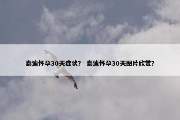 泰迪怀孕30天症状？ 泰迪怀孕30天图片欣赏？