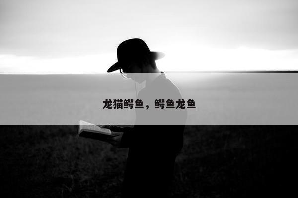 龙猫鳄鱼，鳄鱼龙鱼