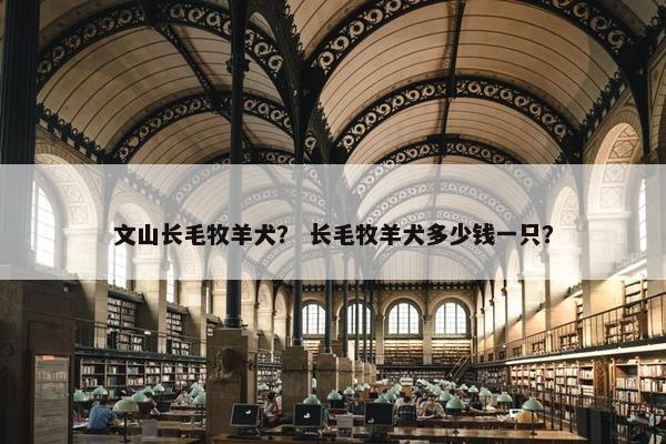 文山长毛牧羊犬？ 长毛牧羊犬多少钱一只？