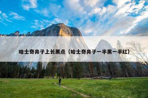 哈士奇鼻子上长黑点（哈士奇鼻子一半黑一半红）