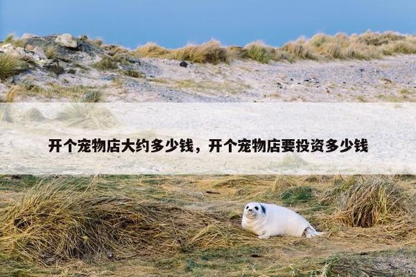 开个宠物店大约多少钱，开个宠物店要投资多少钱