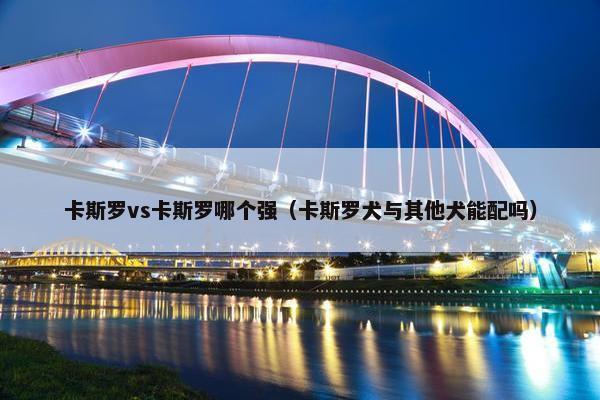 卡斯罗vs卡斯罗哪个强（卡斯罗犬与其他犬能配吗）